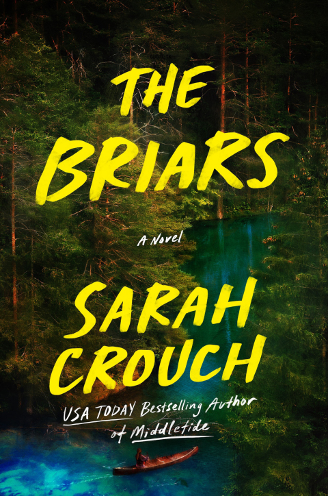 Cover image for book The Briars