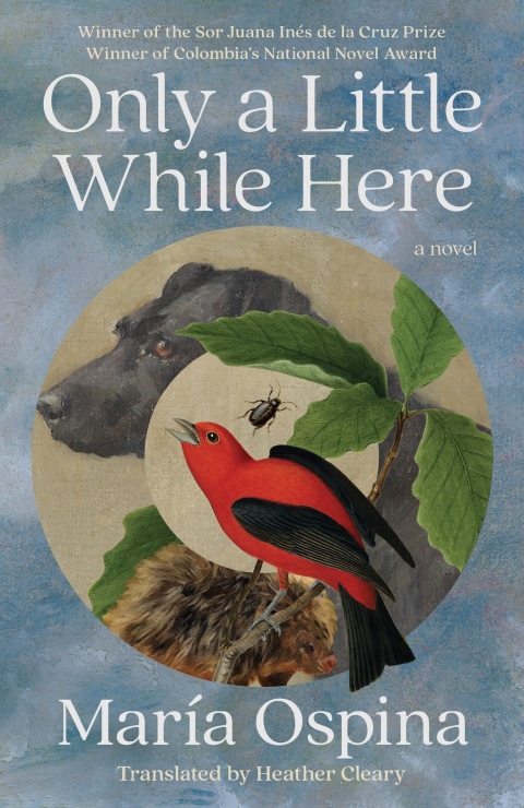 Cover image for book Only a Little While Here