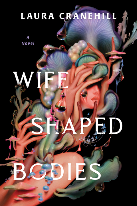 Cover image for book Wife Shaped Bodies