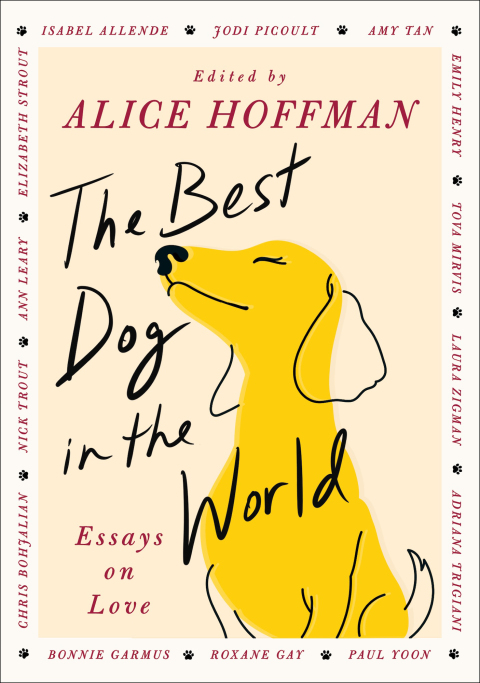 Cover image for book The Best Dog in the World