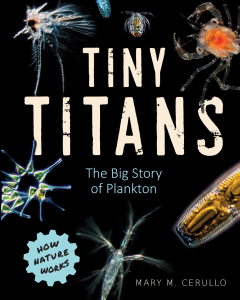 Cover image for book Tiny Titans: The Big Story of Plankton (How Nature Works)