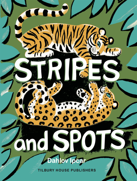 Cover image for book Stripes and Spots
