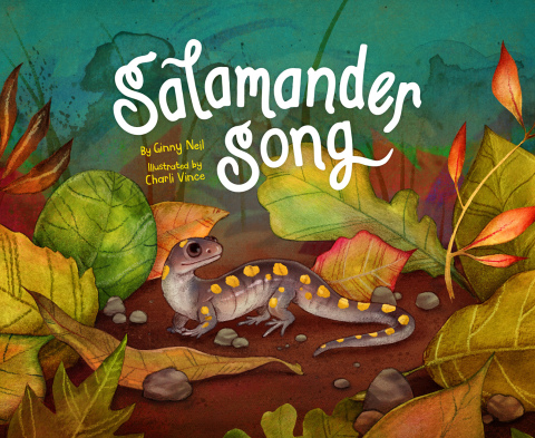 Cover image for book Salamander Song