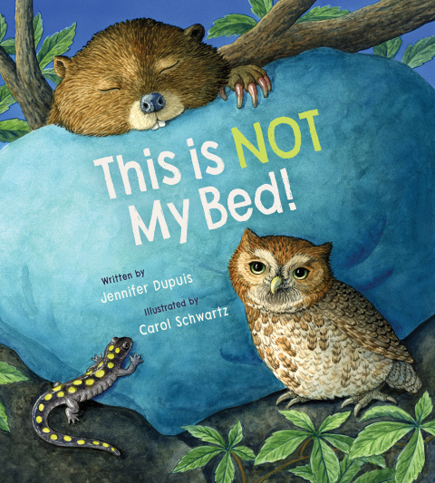 Cover image for book This Is Not My Bed!