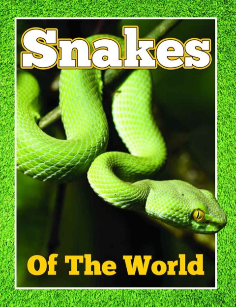Cover image for book Snakes Of The World