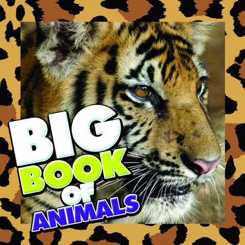 Cover image for book Big Book of Animals