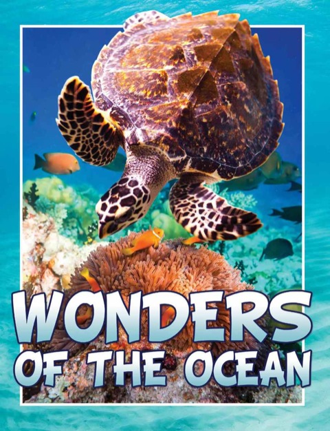 Cover image for book Wonders Of The Ocean