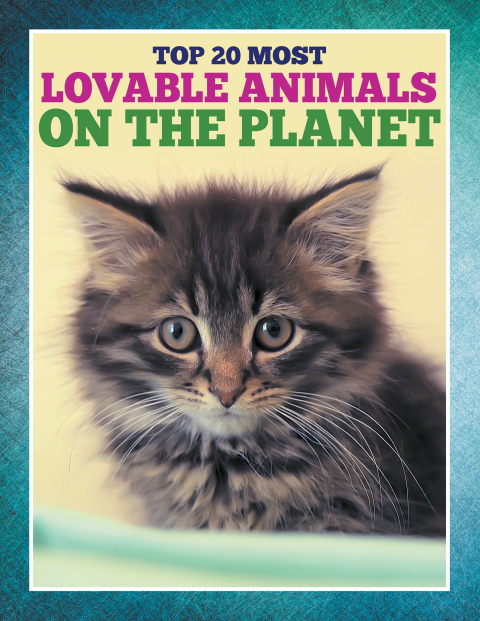 Cover image for book Top 20 Most Lovable Animals On The Planet