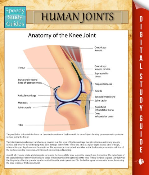 Cover image for book Human Joints