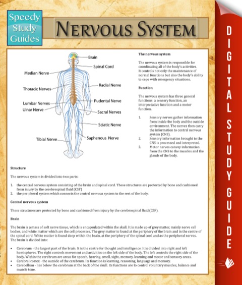 Cover image for book Nervous System