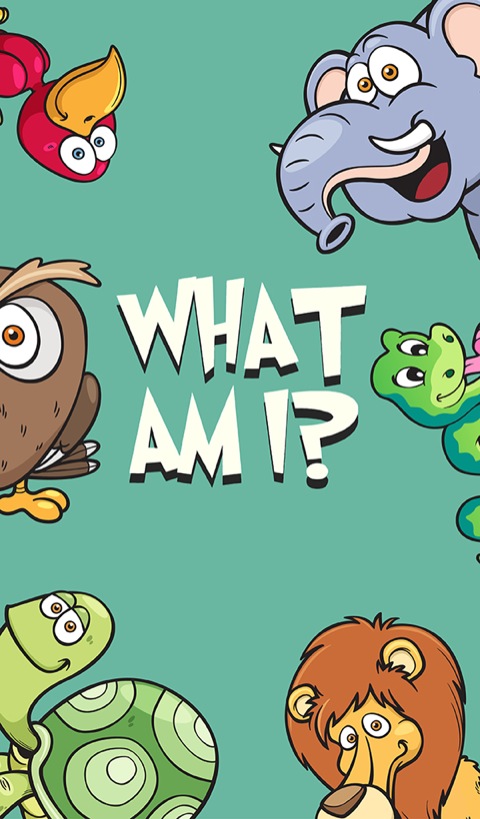 Cover image for book What Am I?