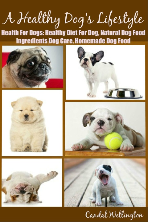 Cover image for book Healthy Diet for Dog: Natural Dog Food Recipes