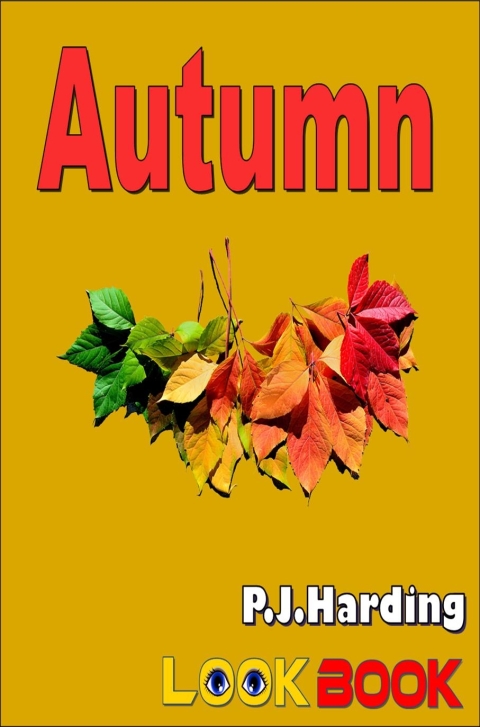 Cover image for book Autumn