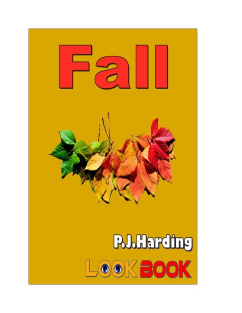 Cover image for book Fall