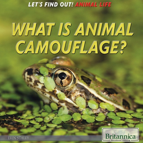 Cover image for book What Is Animal Camouflage?