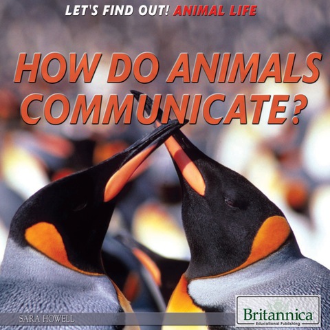 Cover image for book How Do Animals Communicate?