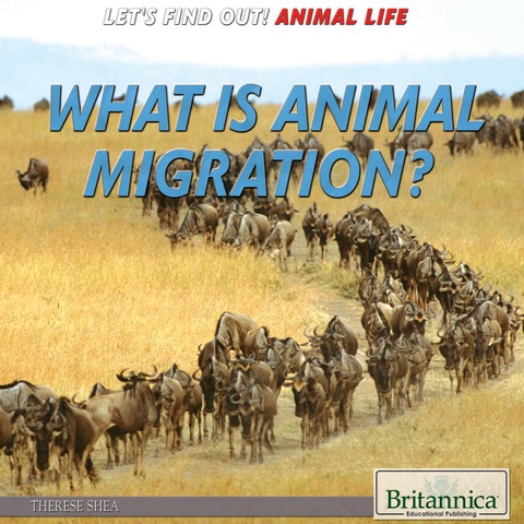 Cover image for book What Is Animal Migration?