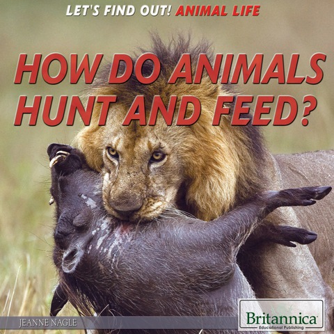 Cover image for book How Do Animals Hunt and Feed?