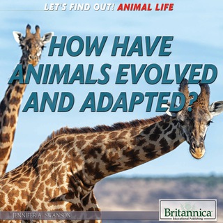 How Have Animals Evolved and Adapted?
