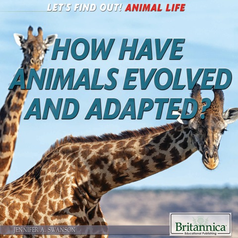 Cover image for book How Have Animals Evolved and Adapted?