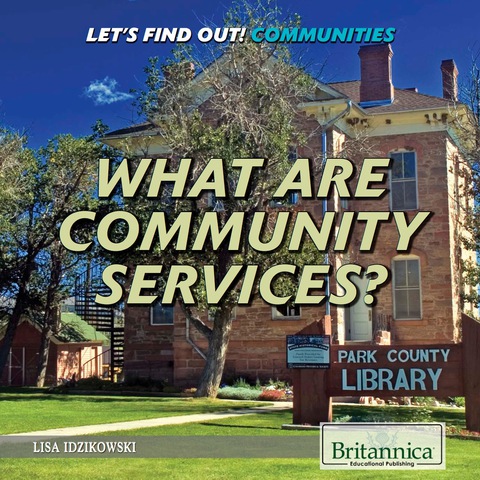 Cover image for book What Are Community Services?