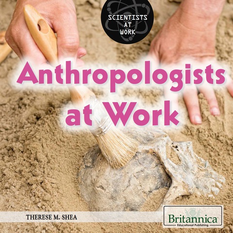 Cover image for book Anthropologists at Work