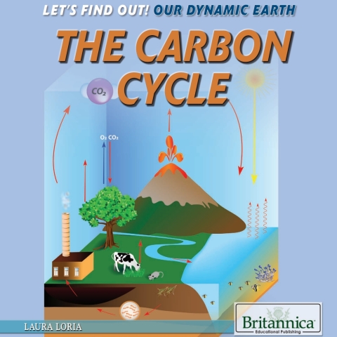 Cover image for book The Carbon Cycle