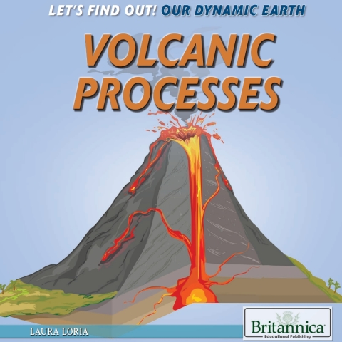 Cover image for book Volcanic Processes