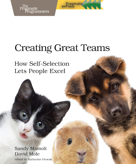 Cover image for book Creating Great Teams