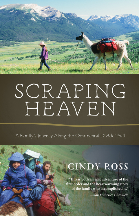 Cover image for book Scraping Heaven