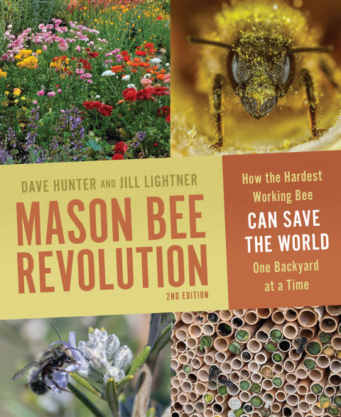 Cover image for book Mason Bee Revolution