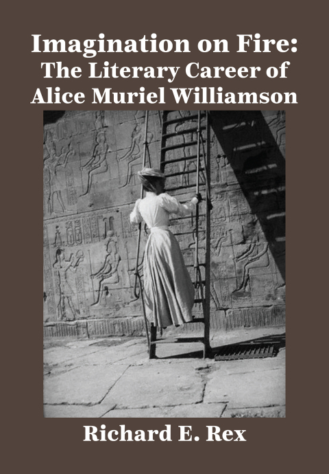 Cover image for book Imagination on Fire