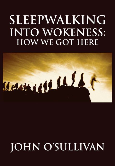 Cover image for book Sleepwalking Into Wokeness