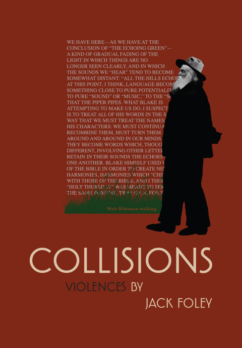 Cover image for book COLLISIONS