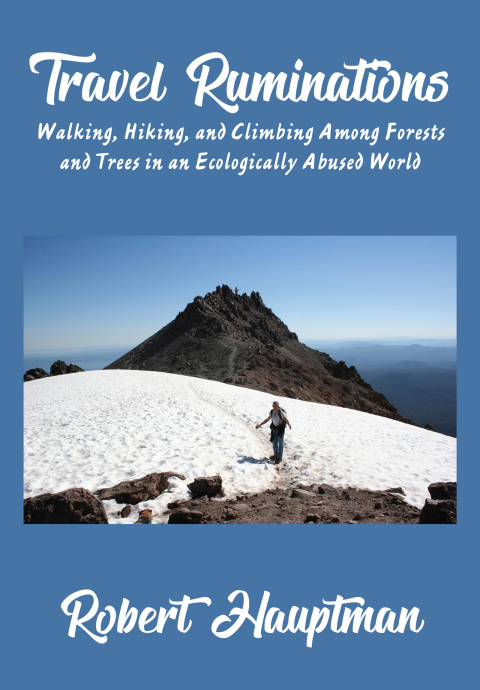 Cover image for book Travel Ruminations