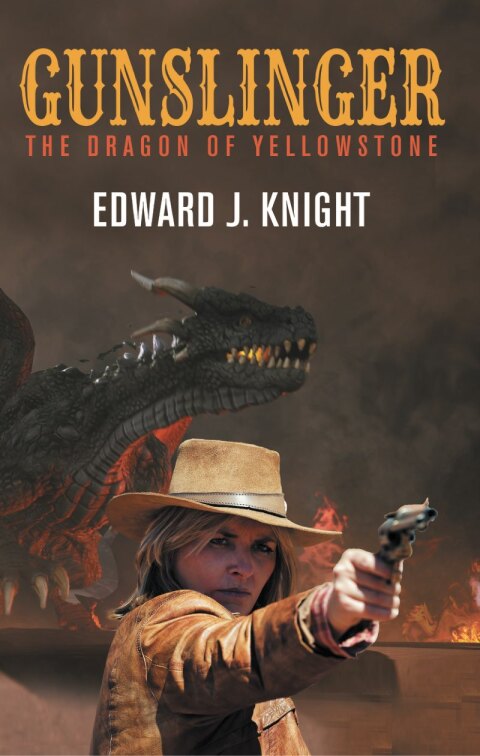 Cover image for book Gunslinger