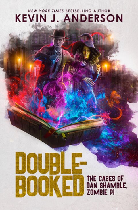 Cover image for book Double-Booked