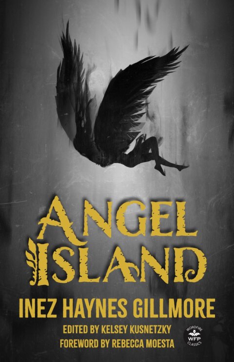 Cover image for book Angel Island
