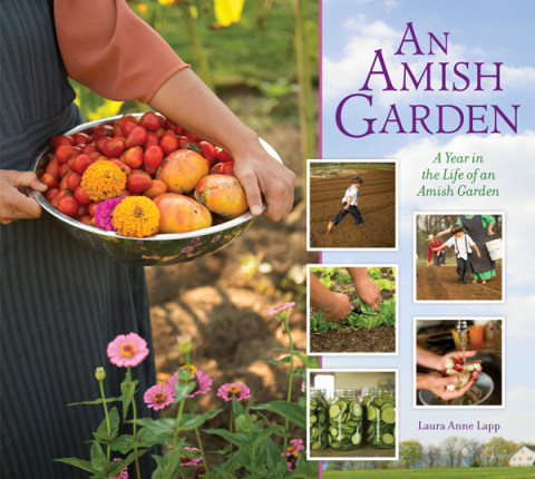 Cover image for book Amish Garden