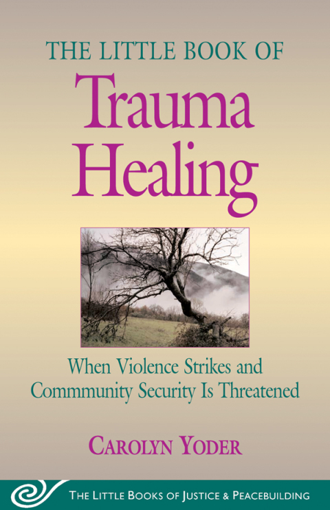 Cover image for book Little Book of Trauma Healing