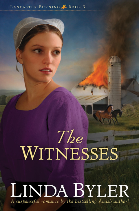 Cover image for book The Witnesses