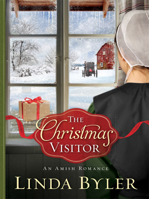 Cover image for book The Christmas Visitor