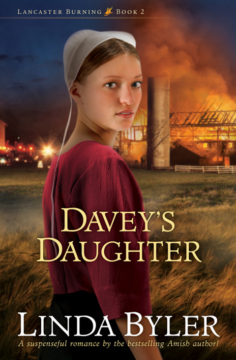 Cover image for book Davey's Daughter