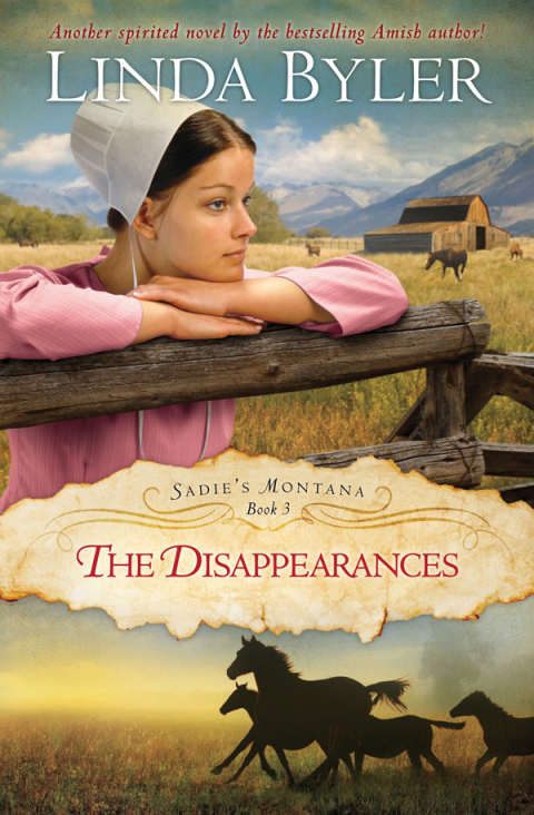 Cover image for book Disappearances