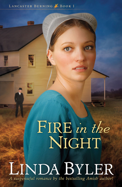 Cover image for book Fire in the Night