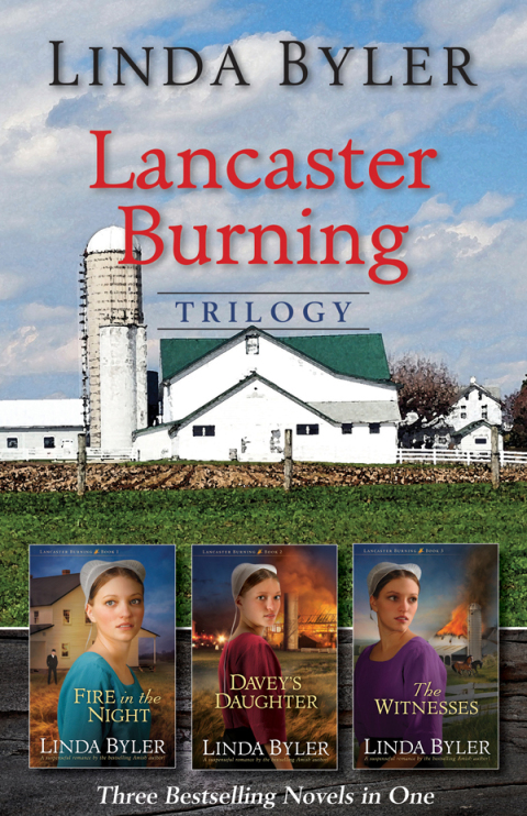 Cover image for book Lancaster Burning Trilogy