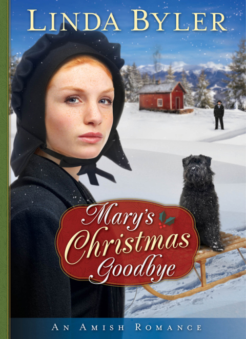 Cover image for book Mary's Christmas Goodbye