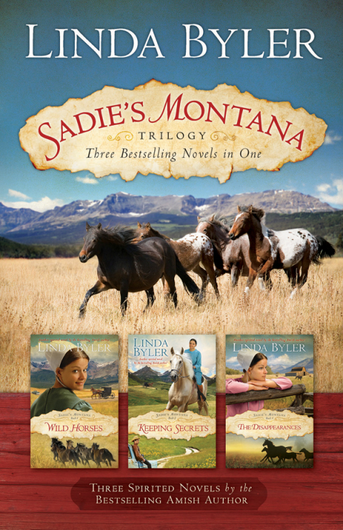Cover image for book Sadie's Montana Trilogy
