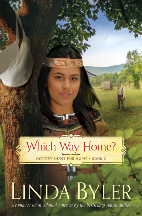 Cover image for book Which Way Home?