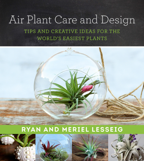 Cover image for book Air Plant Care and Design